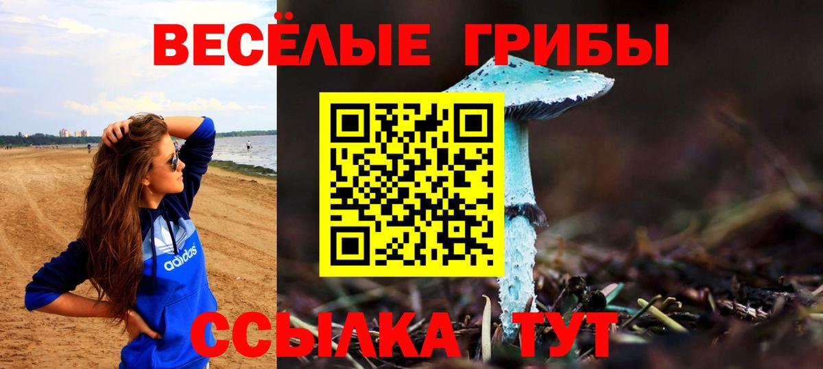 Ессентуки  Псилоцибиновые грибы Magic Shrooms  Вход с VPN 